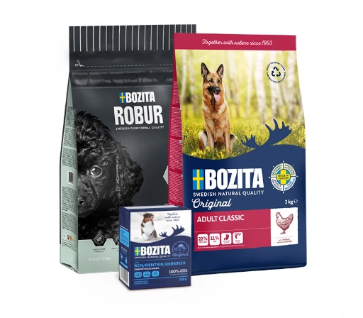 bozita köpek mamaları