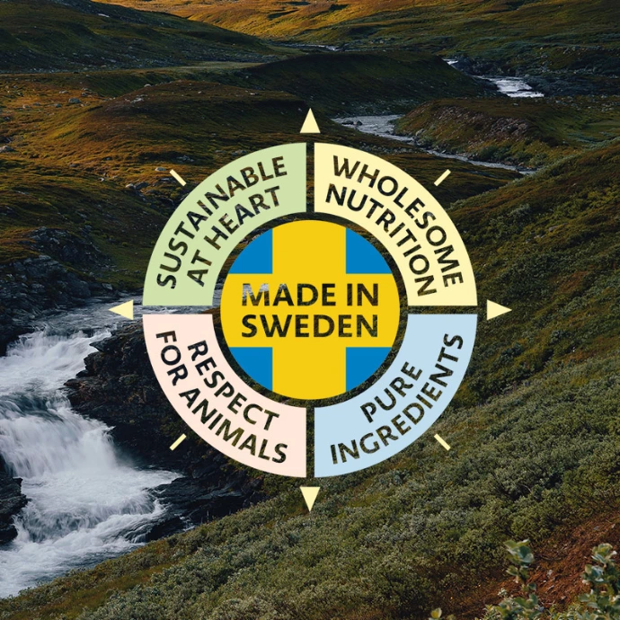 bozita pusula bozita pusula