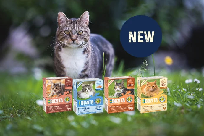 bozita yeni kedi mamaları